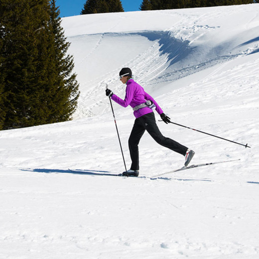 CROSS COUNTRY SKI