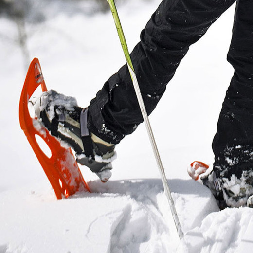 SNOW SHOES